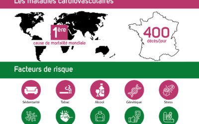 Maladies cardiovasculaires