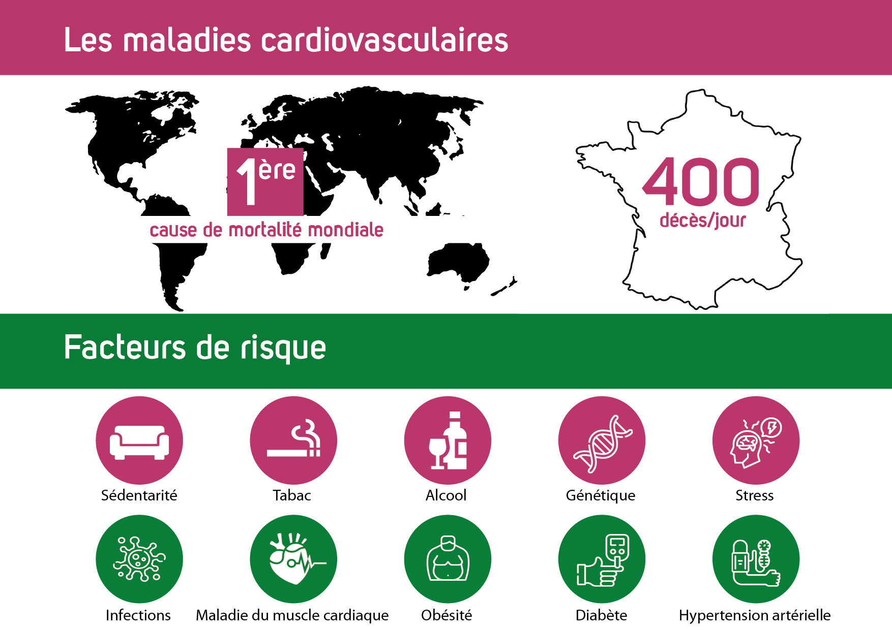 maladies cardiovasculaires acv
