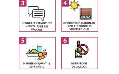 Vagues de chaleur, les précautions à prendre.