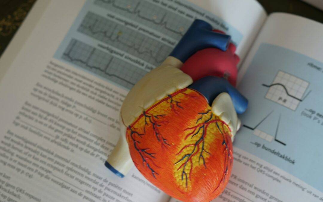 Maladies cardiovasculaires risques